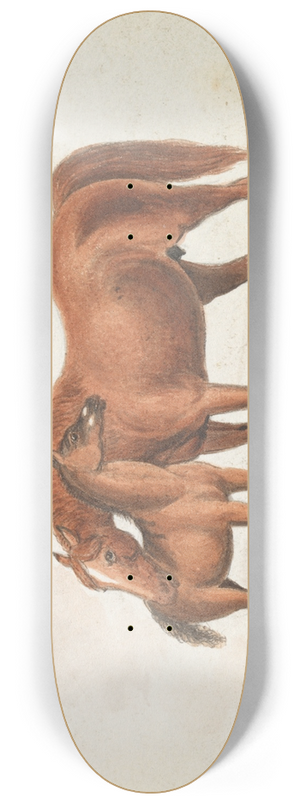 Charles Hamilton Smith - Brood Mare and Third Foal, with Marks of Quagga 8.25 inch art skate deck