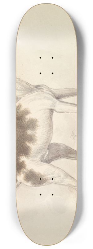 Charles Hamilton Smith - Oriental Hound 8.25 inch art skate deck