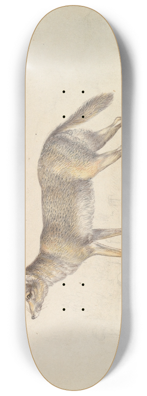 Charles Hamilton Smith - The Common Jackal 8.25 inch art skate deck