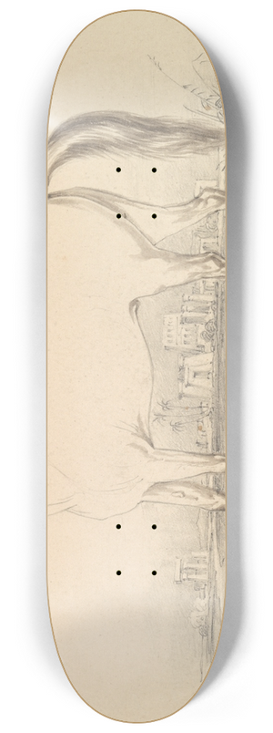Charles Hamilton Smith - The Dongola Horse 8.25 inch art skate deck