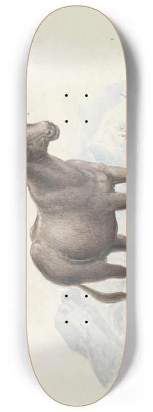 Charles Hamilton Smith - The Hinny 8.25 inch art skate deck