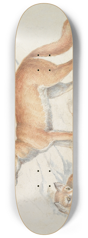 Charles Hamilton Smith - The Syrian Fox and The Egyptian Fox 8.25 inch art skate deck