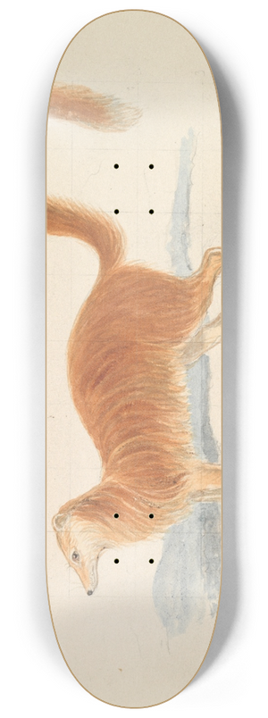 Charles Hamilton Smith - Yellow Mongoose 8.25 inch art skate deck