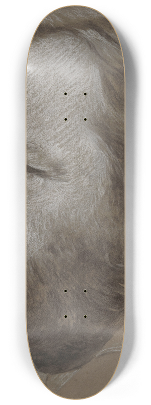 Charles Mertens - The Painter Henri De Braekeleer 8.25 inch art skate deck