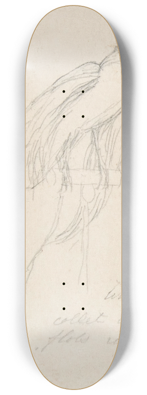Charles Meryon - A Bird of Paradise 8.25 inch art skate deck