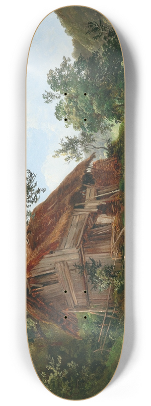 Franz Steinfeld - Derelict House 8.25 inch art skate deck
