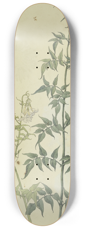 Franz Theobald Horny - Zwei Jasminzweige 8.25 inch art skate deck