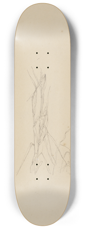 Christen Kbke - Planterids 8.25 inch art skate deck