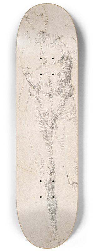 Albrecht Drer - Standing Male Nude Holding a Bow (Poynter Apollo) 8.25 inch art skate deck