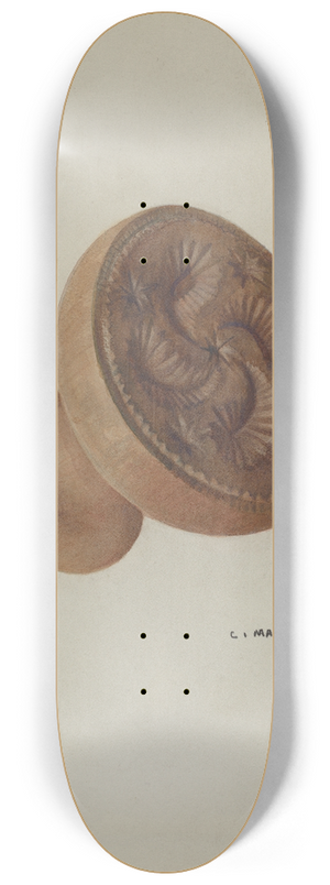 C. Mansfield - Pa. German Butter Mold 8.25 inch art skate deck