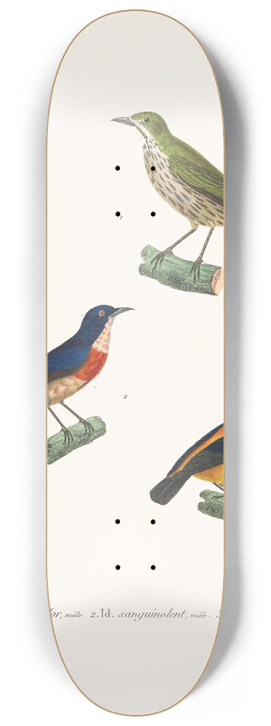 Coenraad Jacob Temminck - Dice Cudor. 8.25 inch art skate deck