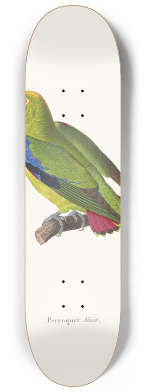 Coenraad Jacob Temminck - Perroquet Huet 8.25 inch art skate deck