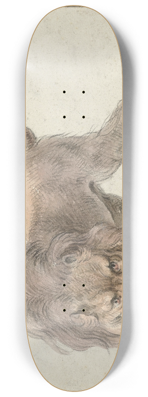 Cornelis Saftleven - Lion 8.25 inch art skate deck