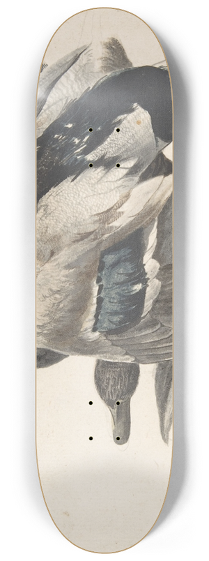 Count Giorgio Durante - Two Dead Ducks 8.25 inch art skate deck
