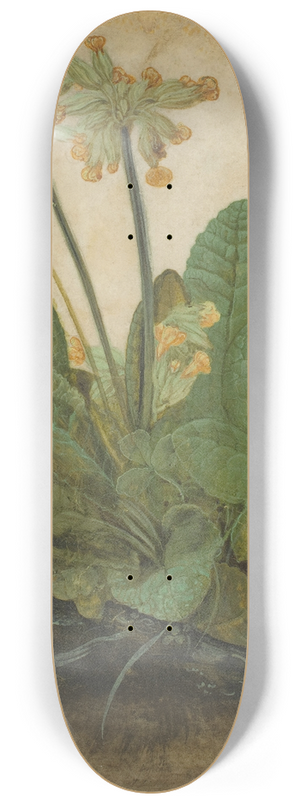 Albrecht Drer - Tuft of Cowslips 8.25 inch art skate deck