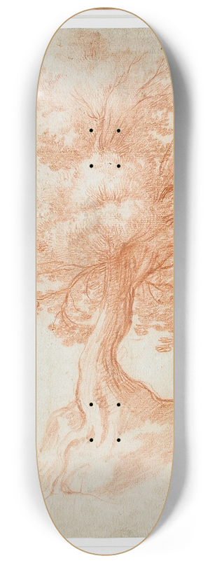 Cristofano Allori - Study of a Tree 8.25 inch art skate deck