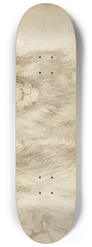 Albrecht Drer - Two seated lion 8.25 inch art skate deck Albrecht Drer - Two seated lion 8.25 inch art skate deck