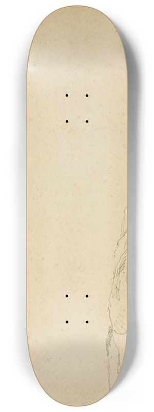 David Cox - Langham, South Wales 8.25 inch art skate deck