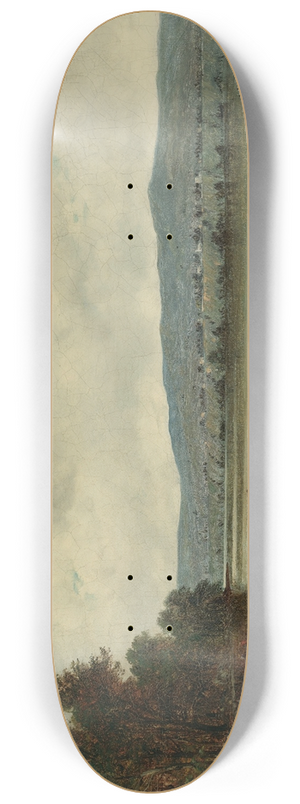 David Johnson - Landing The Dory 8.25 inch art skate deck