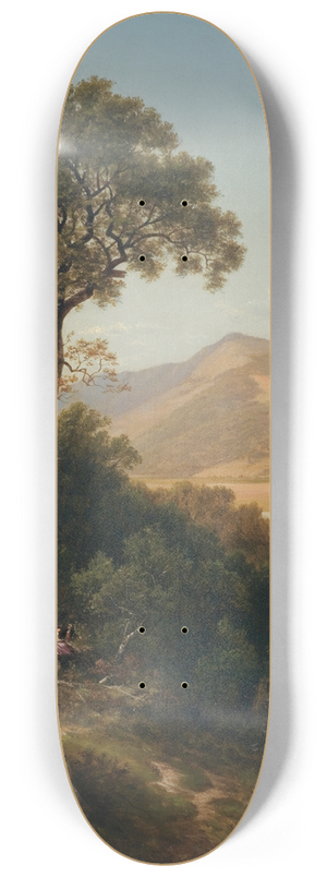 David Johnson - Near Shelburne, Vermont 8.25 inch art skate deck