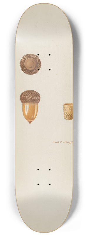 David P Willoughby - Thimble Case 8.25 inch art skate deck