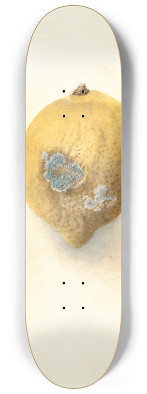 Deborah Griscom Passmore - Citrus limon 8.25 inch art skate deck