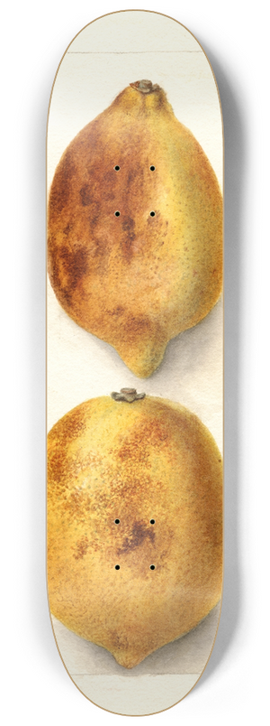 Deborah Griscom Passmore - Citrus limon 8.25 inch art skate deck