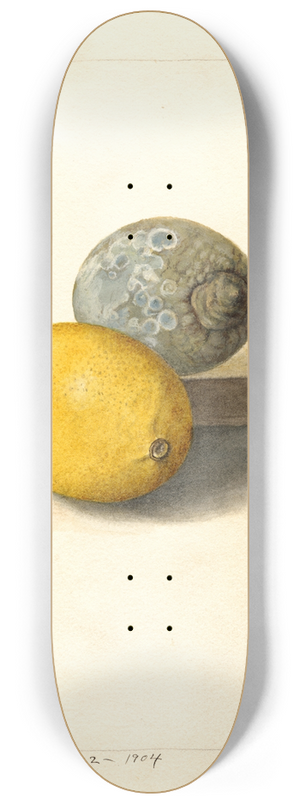 Deborah Griscom Passmore - Citrus limon 8.25 inch art skate deck