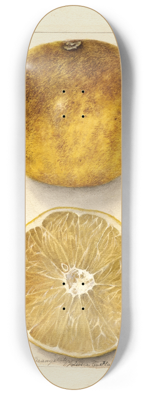 Deborah Griscom Passmore - Citrus paradisi: Scrubs 8.25 inch art skate deck