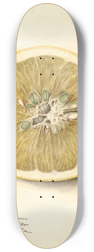 Deborah Griscom Passmore - Citrus paradisi: Silver Cluster 8.25 inch art skate deck