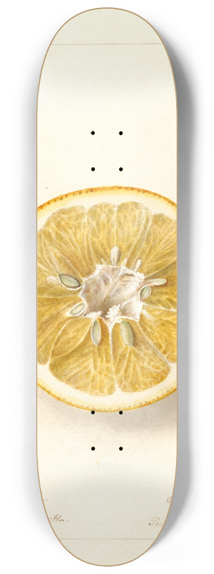 Deborah Griscom Passmore - Citrus paradisi: Thornton No 8.25 inch art skate deck
