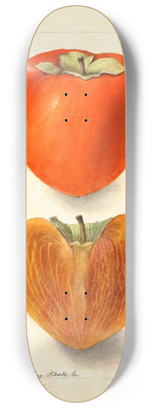 Deborah Griscom Passmore - Diospyros: Axtill 8.25 inch art skate deck