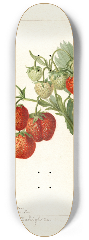 Deborah Griscom Passmore - Fragaria: Lehigh 8.25 inch art skate deck