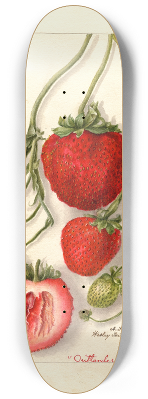 Deborah Griscom Passmore - Fragaria: Outlander 8.25 inch art skate deck
