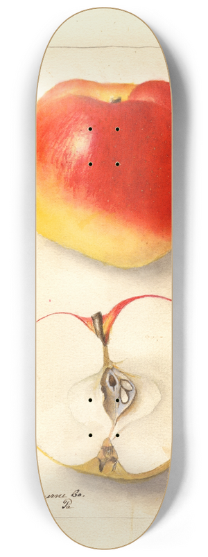 Deborah Griscom Passmore - Malus domestica: Ewalt 8.25 inch art skate deck