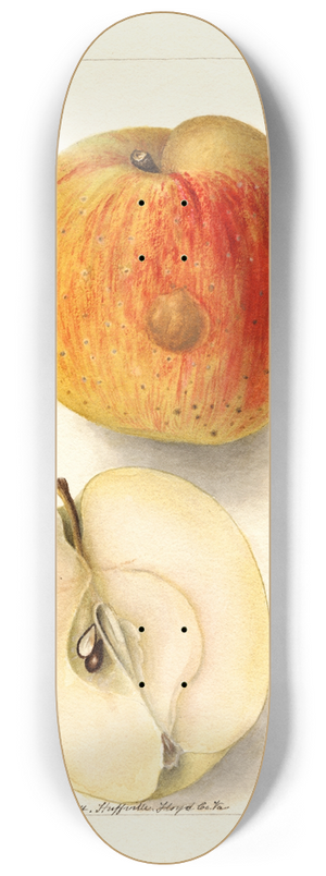 Deborah Griscom Passmore - Malus domestica: Floyd 8.25 inch art skate deck