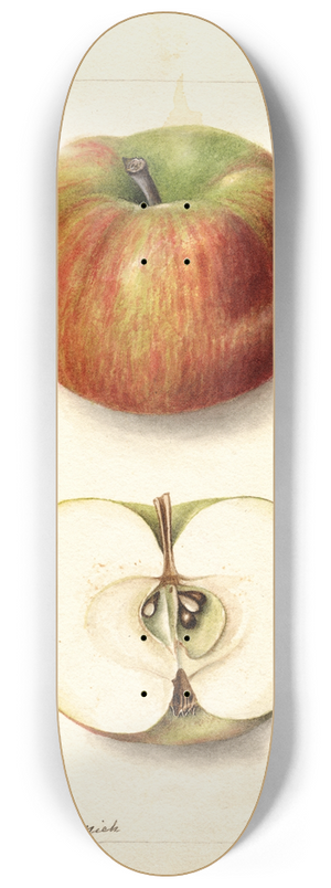 Deborah Griscom Passmore - Malus domestica: Keeskemet 8.25 inch art skate deck