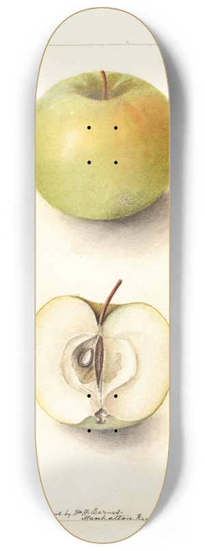 Deborah Griscom Passmore - Malus domestica: Spohr 8.25 inch art skate deck