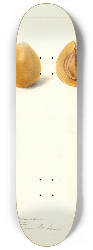Deborah Griscom Passmore - Prunus domestica: Moldavka 8.25 inch art skate deck