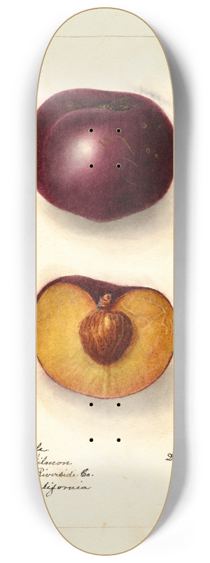 Deborah Griscom Passmore - Prunus domestica: Simon 8.25 inch art skate deck