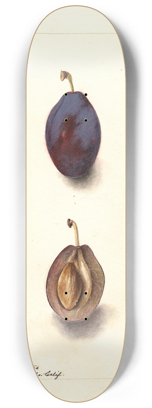 Deborah Griscom Passmore - Prunus domestica: Splendor 8.25 inch art skate deck