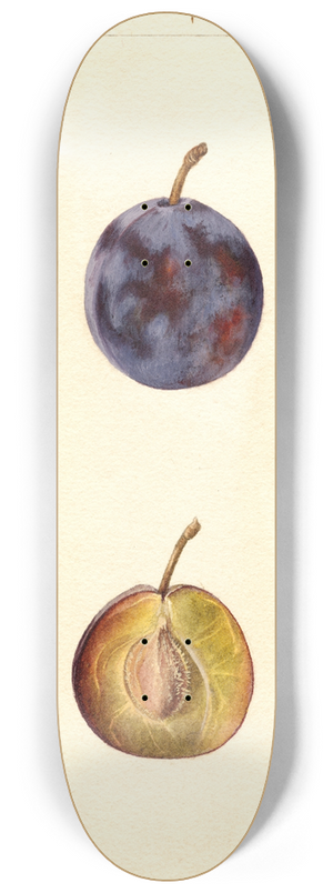 Deborah Griscom Passmore - Prunus domestica: White Queen 8.25 inch art skate deck