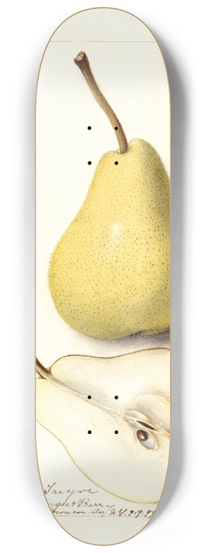 Deborah Griscom Passmore - Pyrus communis: Madam Treyve 8.25 inch art skate deck