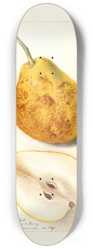 Deborah Griscom Passmore - Pyrus communis: President Gilbert 8.25 inch art skate deck