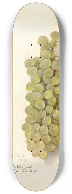 Deborah Griscom Passmore - Vitis 8.25 inch art skate deck