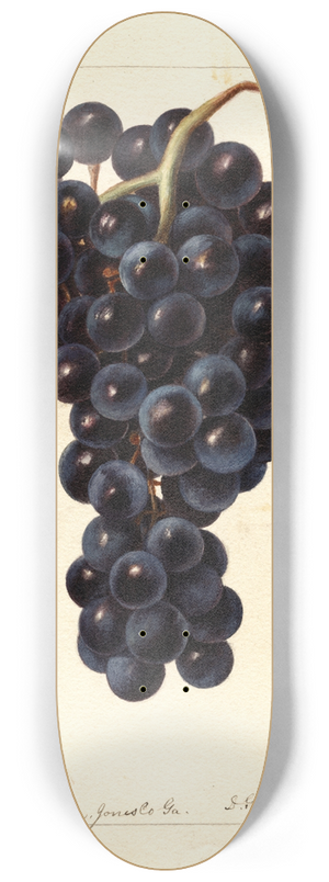 Deborah Griscom Passmore - Vitis: Superb 8.25 inch art skate deck