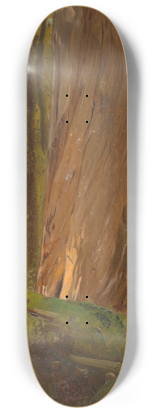 Frederic Edwin Church - Study in the Maine Woods 8.25 inch art skate deck