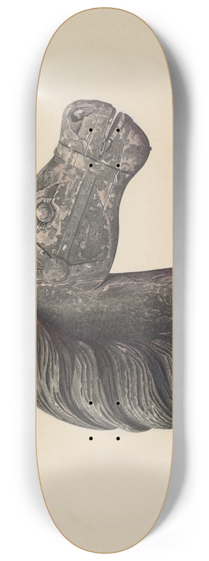 Donald Donovan - Horses Head 8.25 inch art skate deck