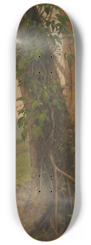 Frederic Edwin Church - Tree with Vines, Jamaica, West Indies 8.25 inch art skate deck Frederic Edwin Church - Tree with Vines, Jamaica, West Indies 8.25 inch art skate deck