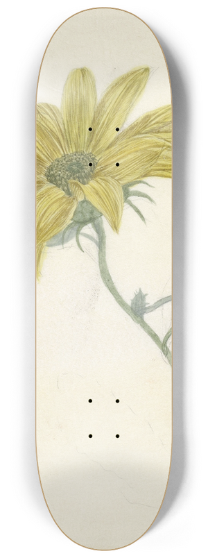 D. van Alphen - Zonnebloem 8.25 inch art skate deck